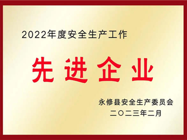 2022年度安全生产工作先进企业